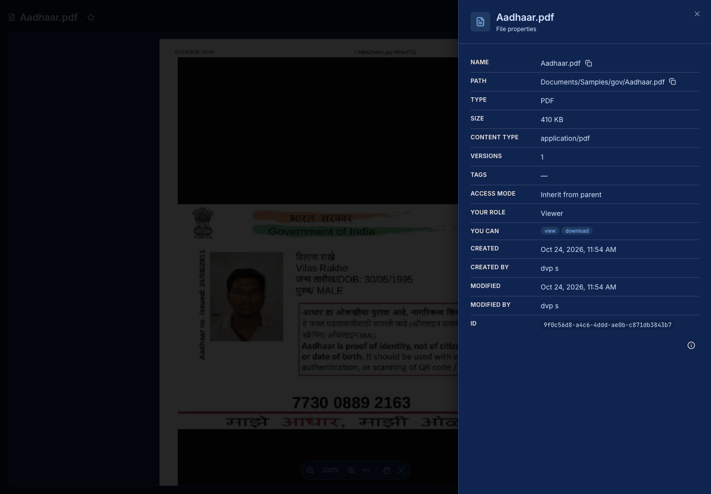 Document properties and available details
